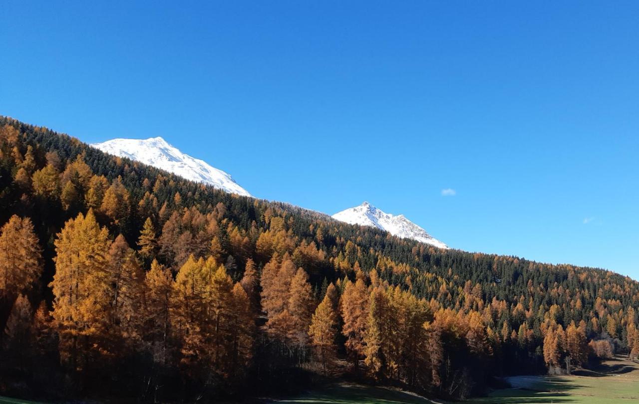 Fuldera Daint Chasa Zanoli Whg Im Zweiten Stock Exterior foto