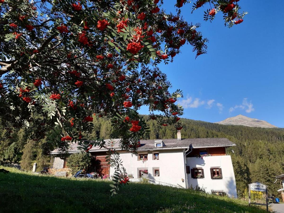 Fuldera Daint Chasa Zanoli Whg Im Zweiten Stock Exterior foto